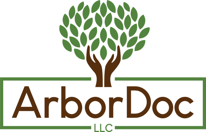 ArborDoc logo