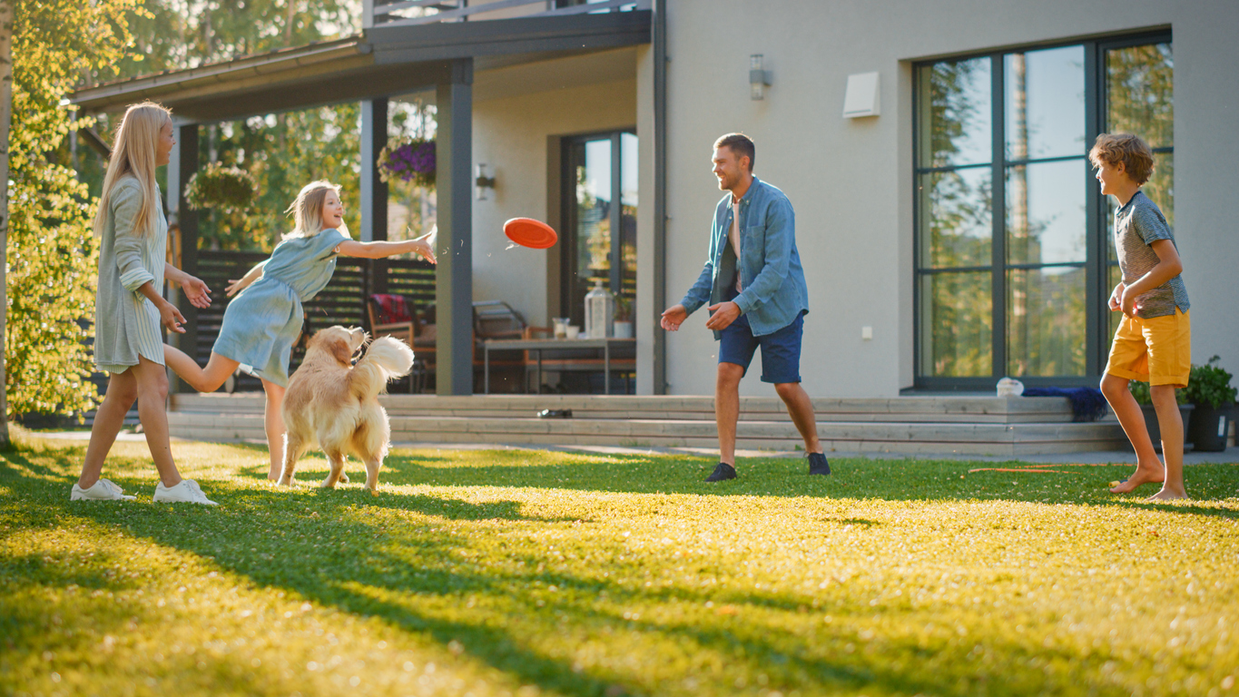 Family of Four Play Fetch flying disc with Golden Retriever Dog on the Backyard Lawn